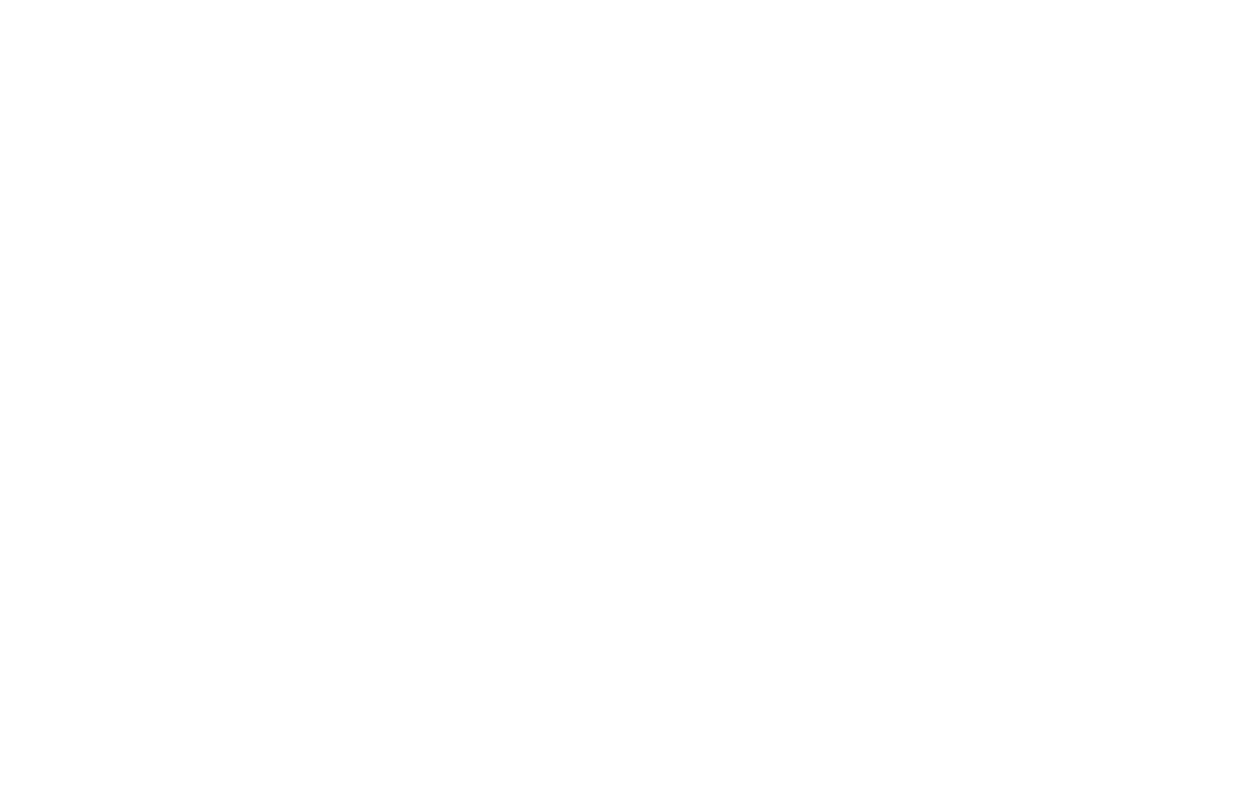 Open Care Group